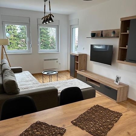 Apartment Aura 2 Bělehrad Exteriér fotografie