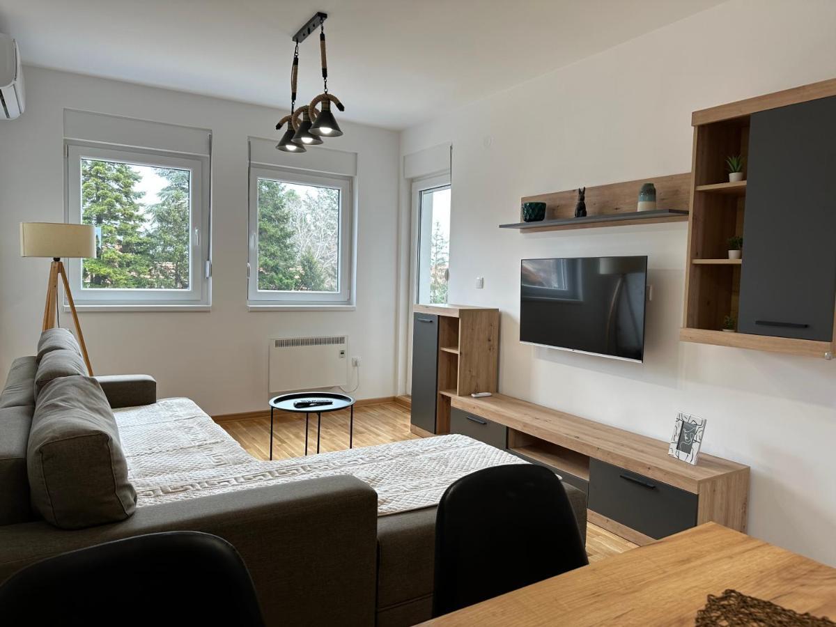 Apartment Aura 2 Bělehrad Exteriér fotografie
